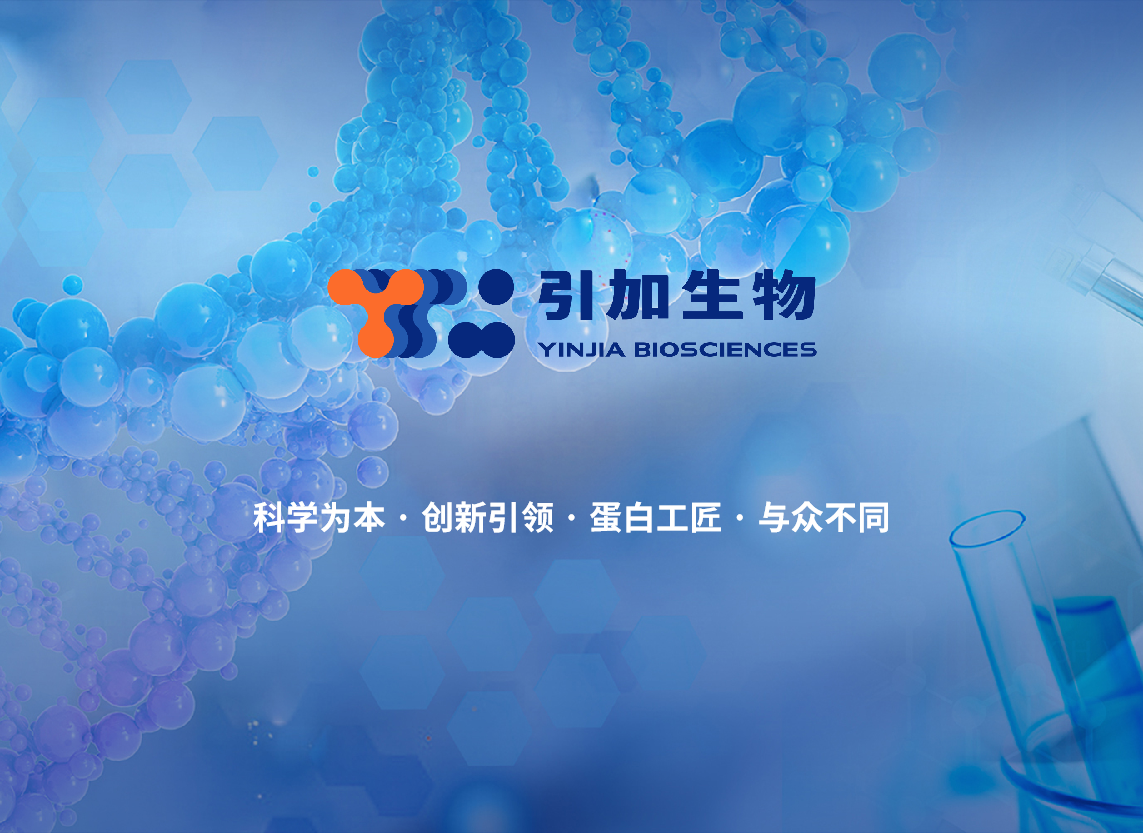 堿性磷酸酶(ALP)快速偶聯試劑盒