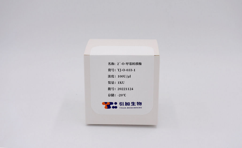 2′-O-甲基轉(zhuǎn)移酶
