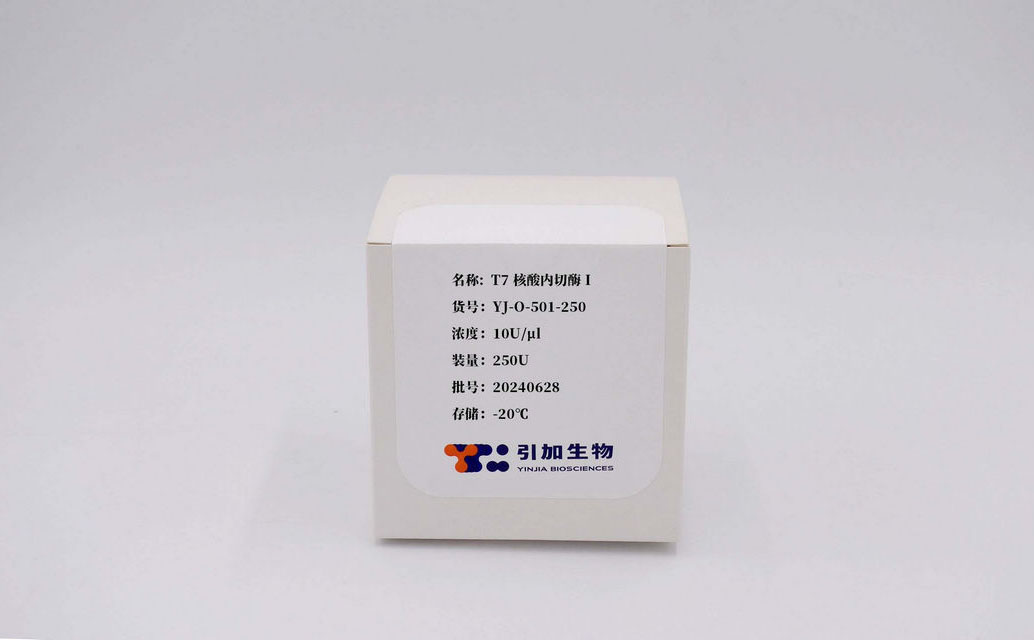 T7核酸內切酶 I