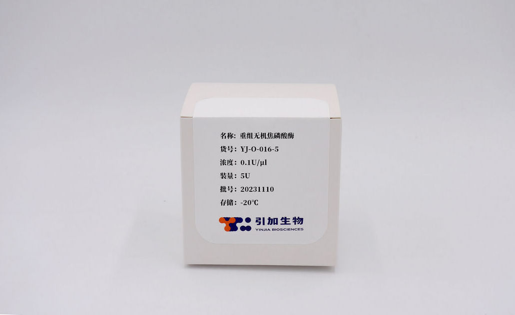 重組無機(jī)焦磷酸酶